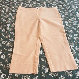 Women's Tan Straight Leg Pants